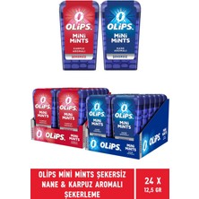 Olips Mini Mints Şekersiz Nane & Karpuz Aromalı Şekerleme 12,5 gr - 24 Adet