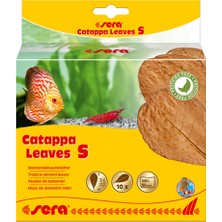 Sera Catappa Caprağı S 14 cm (10 Adet)