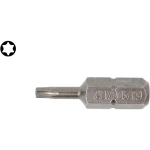 Ceta Form T9 x 25 mm Torx Bits Uç CB/805 (1 Adet)