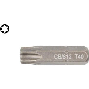 Ceta Form T40 x 25 mm Torx Bits Uç CB/812 (1 Adet)