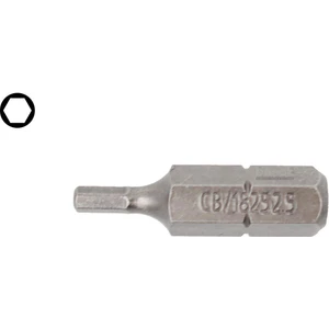 Ceta Form 2,5 x 25 mm Bits Allen (Alyan) Uç CB/1825 (1 Adet)