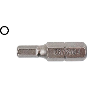 Ceta Form 4 X25 mm Bits Allen (Alyan) Uç CB/1840 (1 Adet)