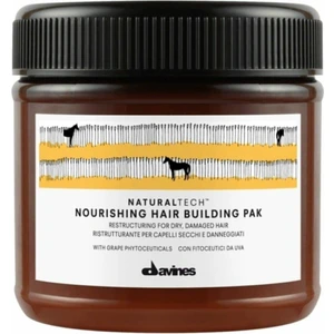 Professional Davines Nourishing Hair Pak Yıpranmış Kuru Saç Maskesi 250 ml