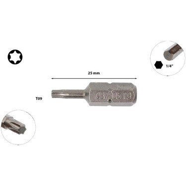 Apex T 25 Torx Insert Bit, 1/4'' Hex Drive (440 TX 25 3.125
