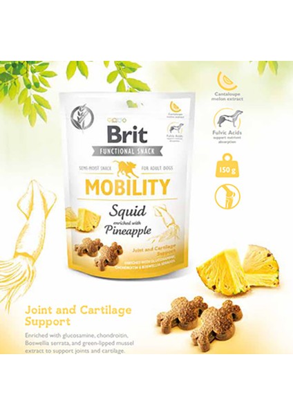 Mobility Ananas ve Kalamarlı Köpek Ödül Maması 150  gr