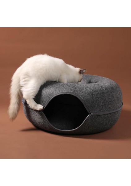 Kedi Tüneli (Yurt Dışından) modelleri