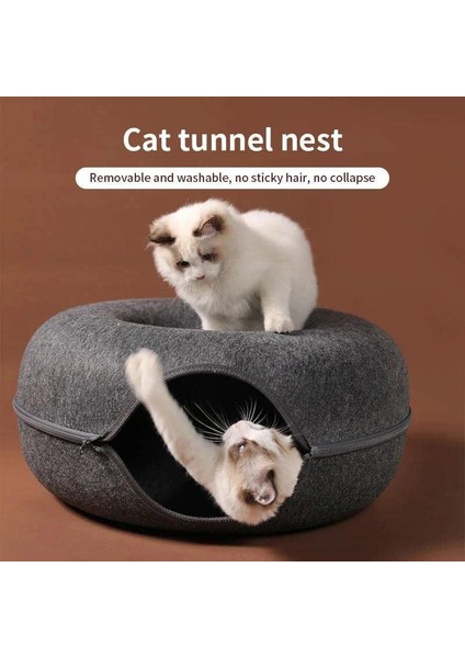 Kedi Tüneli (Yurt Dışından) fırsatları