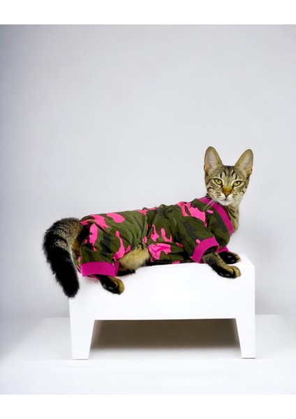 Pinky Camouflage Penye Tulum Kedi Tulumu Kedi Elbisesi modelleri