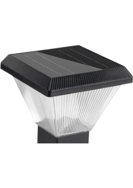 2x100W Güneş Enerjili Solar Bahçe Armatür 300CM Direkli