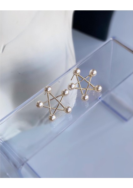 Yeni Trend Lüks Zara Model Incili Yıldız Çelik Küpe Gold Altın fiyatları