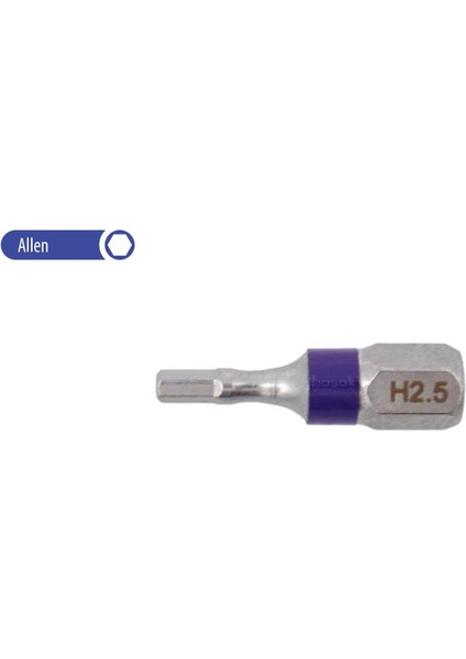 2.5 x 25 mm Allen Bits Uç Renk Kodlu CB/1825TC (1 Adet)