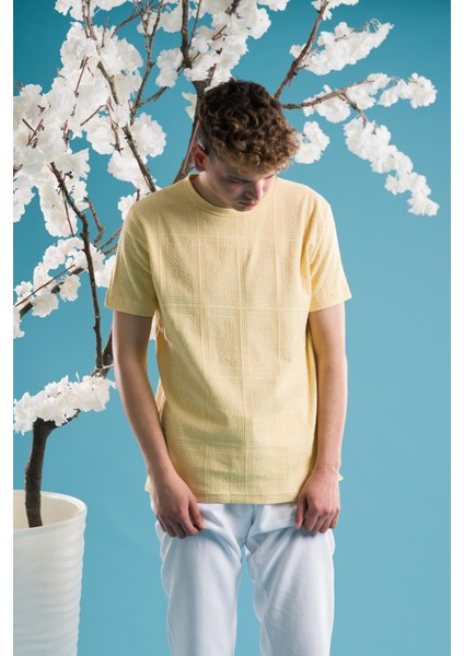 Slimfit Pamuklu Bisiklet Yaka Likralı Kısa Kol Erkek Triko Yazlık T-Shirt modelleri