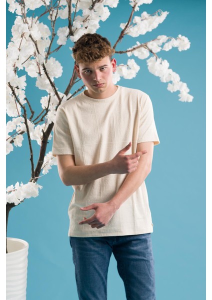 Slimfit Pamuklu Bisiklet Yaka Likralı Kısa Kol Erkek Triko Yazlık T-Shirt modelleri