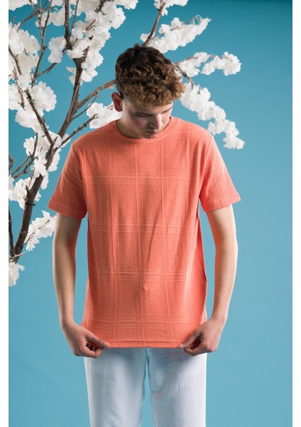 Slimfit Pamuklu Bisiklet Yaka Likralı Kısa Kol Erkek Triko Yazlık T-Shirt modelleri