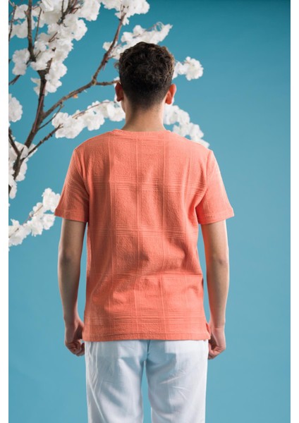 Slimfit Pamuklu Bisiklet Yaka Likralı Kısa Kol Erkek Triko Yazlık T-Shirt fırsatları