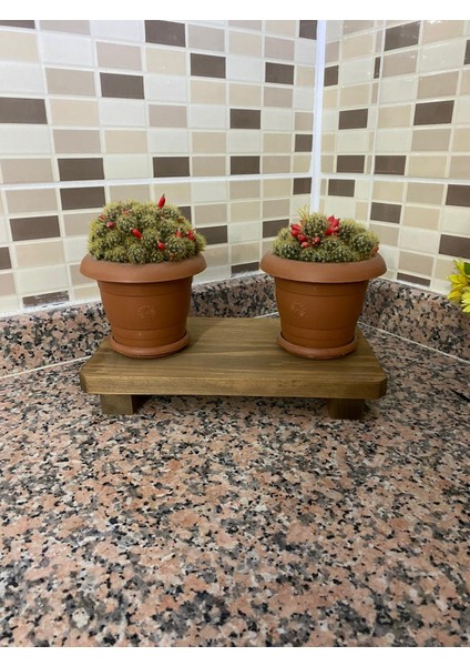 Çok Amaçlı Sunumluk Baharatlık Dekoratif Ahşap Tepsi 16 x 28 cm fırsatları