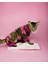 Pinky Camouflage Penye Tulum Kedi Tulumu Kedi Elbisesi 1