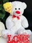 Iyi Ki Doğdun Balon Doğum Günü Dev Peluş Oyuncak Ayıcık Love Gece Masa Lambası Işık 1
