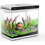 Sunsun  XHE-300 Akvaryum  Cam   13L