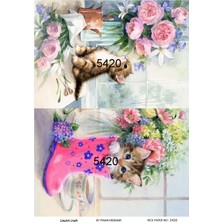 Lineart 5420 Kedi Pembe Çizme Desen Pirinç Dekopaj 30X42