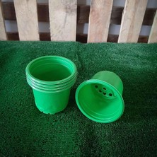 Sera Trend 9x7 cm Üretim Saksı 50 Adet Kaktük ve Sukulent Üretim Saksısı Küçük Yeşil Plastik Saksı