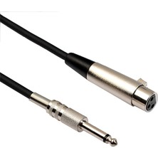 Runto 2x Xlr Dişi Soketi 6.35MM 1/4 "mikrofon Amplifikatörü Için Mono Erkek Jack Kordonu 1m (Yurt Dışından)