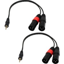 Runto 2x 1ft 1/8 "3,5mm Erkek Fiş Stereo Trs Audio - Çift 2 3pin Xlr Erkek Kablo (Yurt Dışından)