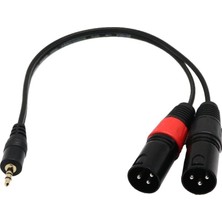 Runto 2x 1ft 1/8 "3,5mm Erkek Fiş Stereo Trs Audio - Çift 2 3pin Xlr Erkek Kablo (Yurt Dışından)