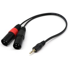 Runto 2x 1ft 1/8 "3,5mm Erkek Fiş Stereo Trs Audio - Çift 2 3pin Xlr Erkek Kablo (Yurt Dışından)