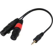 Runto 2x 1ft 1/8 "3,5mm Erkek Stereo Trs Sesli Fişi Çift 2 Dişi 3pin Xlr Kablosu (Yurt Dışından)