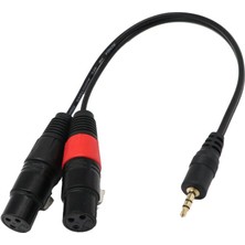 Runto 2x 1ft 1/8 "3,5mm Erkek Stereo Trs Sesli Fişi Çift 2 Dişi 3pin Xlr Kablosu (Yurt Dışından)