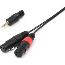 Runto 2x 1ft 1/8 "3,5mm Erkek Stereo Trs Sesli Fişi Çift 2 Dişi 3pin Xlr Kablosu (Yurt Dışından)