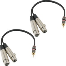 Runto 2x 3.5mm Stereo Mono Erkek Xlr-Çift Kadın Mikrofon Ses Kablosu, 1 Metrelik (Yurt Dışından)