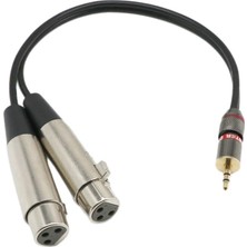 Runto 2x 3.5mm Stereo Mono Erkek Xlr-Çift Kadın Mikrofon Ses Kablosu, 1 Metrelik (Yurt Dışından)