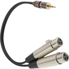 Runto 2x 3.5mm Stereo Mono Erkek Xlr-Çift Kadın Mikrofon Ses Kablosu, 1 Metrelik (Yurt Dışından)