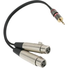 Runto 2x 3.5mm Stereo Mono Erkek Xlr-Çift Kadın Mikrofon Ses Kablosu, 1 Metrelik (Yurt Dışından)