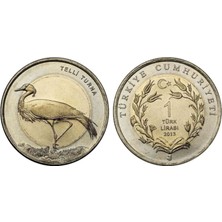 2013 Yılı Telli Turna Darphane Hatıra Bimetal Çil