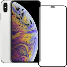 Bufalo iPhone Xs Max Esd Anti Static Cam Ekran Koruyucu