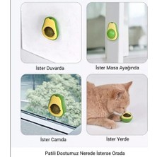 Neler Geldi Neler Kedi Nanesi Avokado Catnip Avokado Kedi Otu Topu Avokado Kedi Oyuncağı 1 Adet