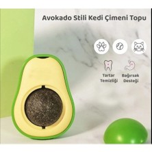 Neler Geldi Neler Kedi Nanesi Avokado Catnip Avokado Kedi Otu Topu Avokado Kedi Oyuncağı 1 Adet