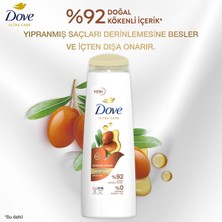 Dove Ultra Care Onarıcı Bakım Argan Yağı Şampuan 400 Ml X 3 Adet