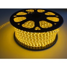 Forlife 220V 4040 LED Hortum 3200K Gün Işığı