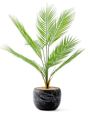 Objevi Dekoratif Palm Çiçeği - 80 cm