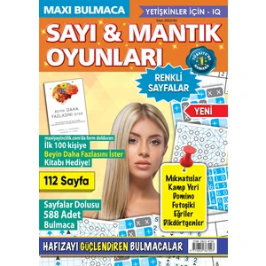 Sayı ve Mantık Oyunları 2023-02