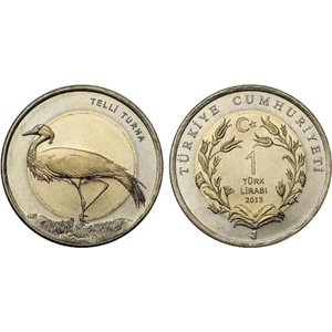 2013 Yılı Telli Turna Darphane Hatıra Bimetal Çil