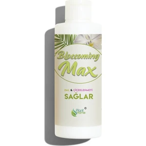 Blossoming Max Dal ve Çiçeklenmeyi Sağlayan Güçlü Besin 100 ml