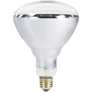 EC Shop Osram Ledvance Ledvance 250W Infrared Şeffaf Ampul E27