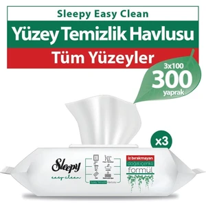 Yüzey Temizlik Havlusu 300' Lü