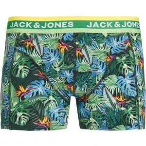 Jack & Jones Kyle Erkek Boxer 12248849