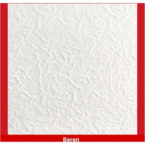 Strafor Tavan Kapmama Paneli Beren Modeli 10.m2